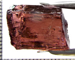 Tourmaline – Mozambique – 21.62 cts - Ref. TOB-655