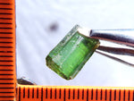 Tourmaline – Nigeria – 6.59 cts - Ref. TOB-394