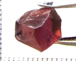 Tourmaline – Mozambique– 5.47 cts - Ref. TOB-477