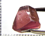 Tourmaline – Mozambique– 5.47 cts - Ref. TOB-477