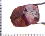 Tourmaline – Mozambique– 5.81 cts - Ref. TOB-481 - THIS STONE HAS BEEN RESERVED