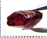 Tourmaline – Mozambique– 5.92 cts - Ref. TOB-486