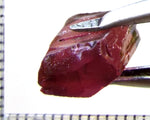 Tourmaline – Mozambique– 5.73 cts - Ref. TOB-488