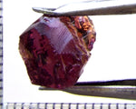 Tourmaline – Mozambique– 6.37 cts - Ref. TOB-493