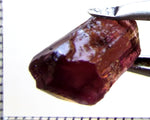 Tourmaline – Mozambique– 6.83 cts - Ref. TOB-494