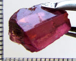 Tourmaline – Mozambique– 6.00 cts - Ref. TOB-500