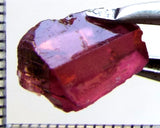 Tourmaline – Mozambique– 6.00 cts - Ref. TOB-500