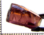 Tourmaline – Mozambique– 7.63 cts - Ref. TOB-502