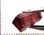 Tourmaline – Mozambique– 7.63 cts - Ref. TOB-502