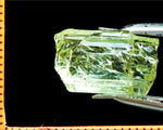 Tourmaline – Congo - 13.63 cts - Ref. TOB-227 - THIS STONE HAS BEEN RESERVED