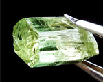 Tourmaline – Congo - 19.56 cts - Ref. TOB-231