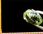 Tourmaline – Congo - 19.56 cts - Ref. TOB-231