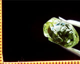 Tourmaline – Congo - 19.56 cts - Ref. TOB-231