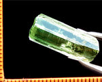 Tourmaline – Congo - 19.56 cts - Ref. TOB-231