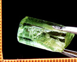 Tourmaline – Congo - 19.56 cts - Ref. TOB-231