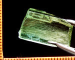 Tourmaline – Congo - 19.56 cts - Ref. TOB-231