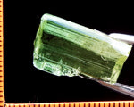 Tourmaline – Congo - 19.56 cts - Ref. TOB-231