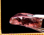 Tourmaline – Congo - 18.97 cts - Ref. TOB-232