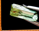 Tourmaline – Congo - 18.27 cts - Ref. TOB-236