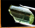 Tourmaline – Congo - 18.27 cts - Ref. TOB-236