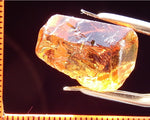 Citrine Bahia - Brazil 25.20 cts - Ref. CR/11