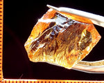 Citrine Bahia - Brazil 25.20 cts - Ref. CR/11