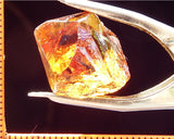 Citrine Bahia - Brazil 22.88 cts - Ref. CR/12