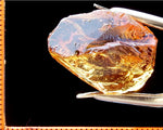 Citrine Bahia - Brazil 17.30 cts - Ref. CR/13