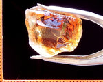 Citrine Bahia - Brazil 26.06 cts - Ref. CR/16