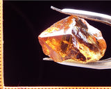 Citrine Bahia - Brazil 23.50 cts - Ref. CR/20