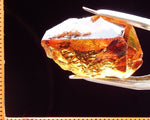 Citrine Bahia - Brazil 26.25 cts - Ref. CR/22