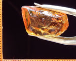 Citrine Bahia - Brazil 23.87 cts - Ref. CR/23