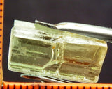 Tourmaline - 10.99 cts - Ref. TOB-106