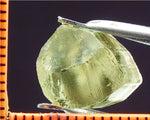 Tourmaline - 11.90 cts - Ref. TOB-116