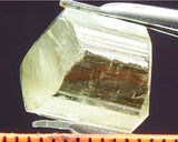 Tourmaline - 11.90 cts - Ref. TOB-116