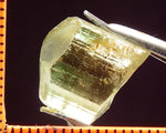 Tourmaline - 11.90 cts - Ref. TOB-116