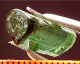 Tourmaline - 8.64 cts - Ref. TOB-124