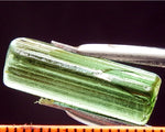 Tourmaline - 8.64 cts - Ref. TOB-124