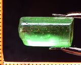 Tourmaline – 7.77 cts - Ref. TOB-159