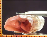 Tourmaline - 14.21 cts - Ref. TOB-92