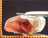 Tourmaline - 14.21 cts - Ref. TOB-92