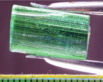 ﻿Tourmaline - 11.49 cts - Ref. TOB-59