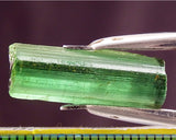 ﻿Tourmaline - 10.71 cts - Ref. TOB-60