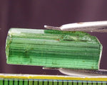 ﻿Tourmaline - 10.71 cts - Ref. TOB-60