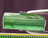 ﻿Tourmaline - 10.71 cts - Ref. TOB-60
