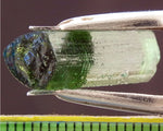 ﻿Tourmaline - 13.72 cts - Ref. TOB-70