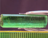 ﻿Tourmaline - 13.72 cts - Ref. TOB-70