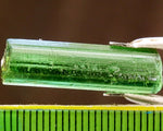 ﻿Tourmaline - 13.72 cts - Ref. TOB-70
