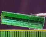﻿Tourmaline - 13.72 cts - Ref. TOB-70