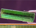 ﻿Tourmaline - 13.72 cts - Ref. TOB-70